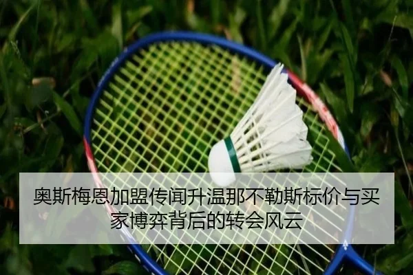 奥斯梅恩加盟传闻升温那不勒斯标价与买家博弈背后的转会风云